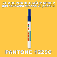 PANTONE 1225C   