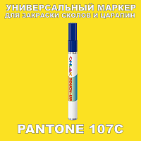 PANTONE 107C   