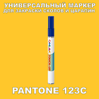 PANTONE 123C   