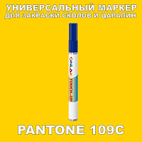 PANTONE 109C   