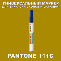 PANTONE 111C   